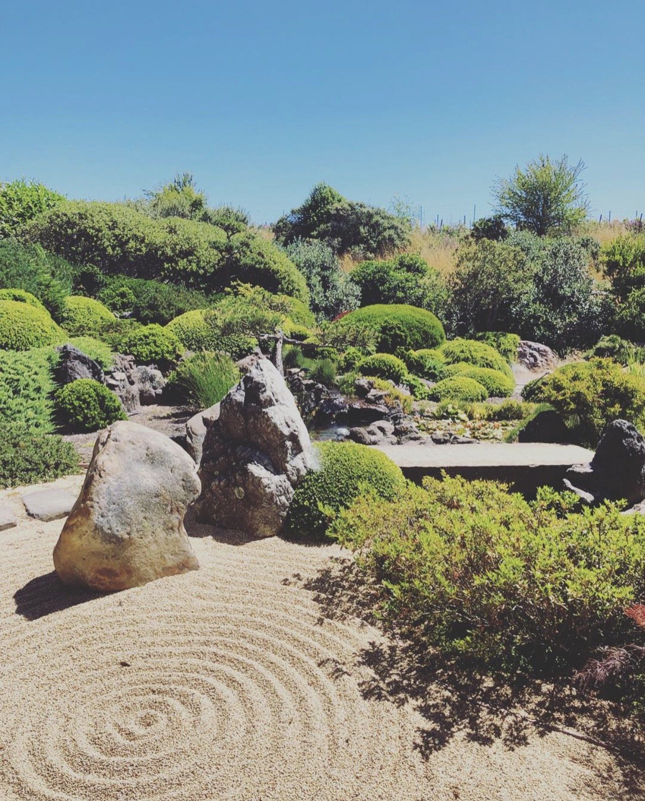 A Japanese-style zen garden in California with raked sand spirals around large stones and manicured shrubs in the background.