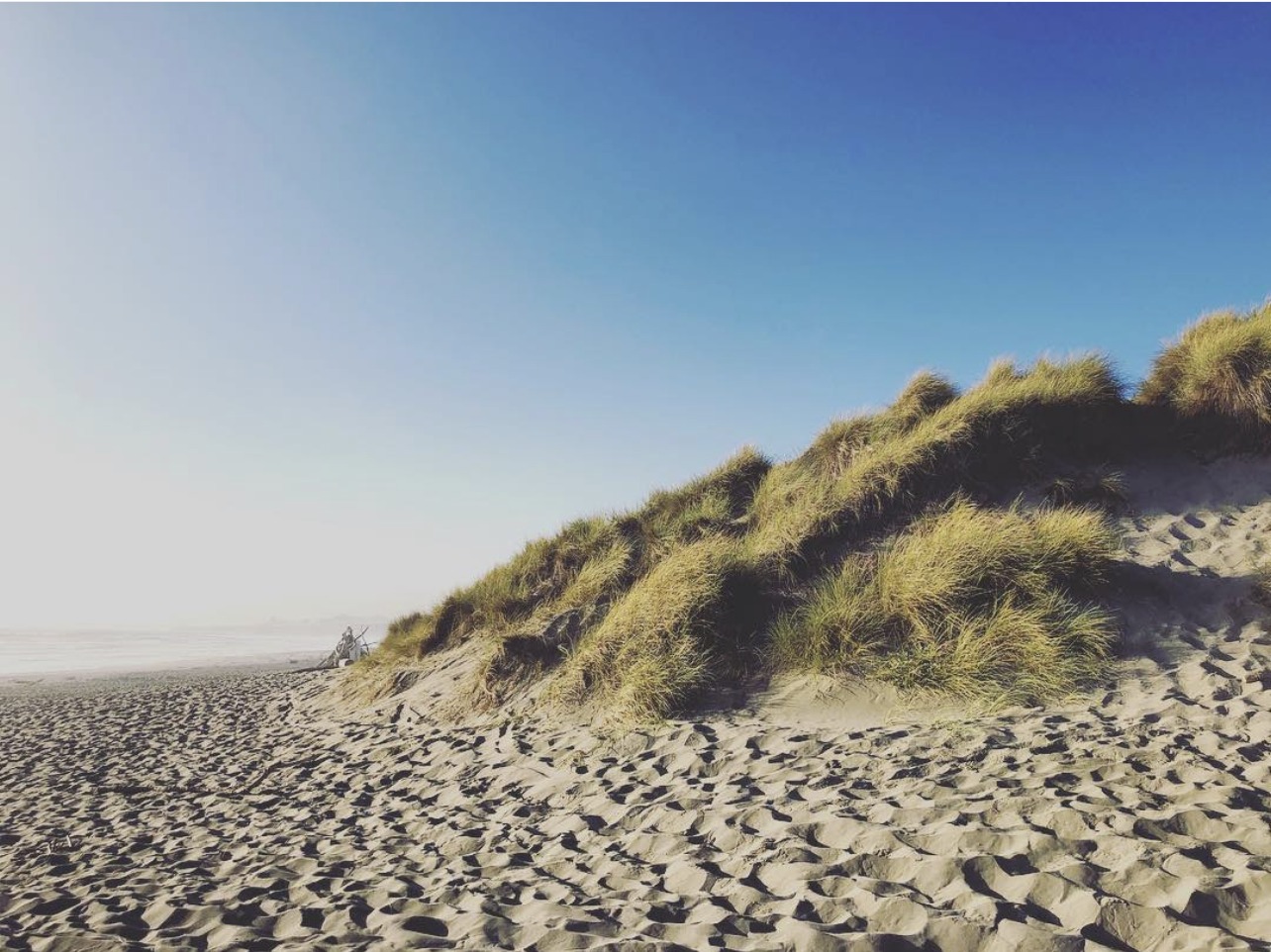 Soft coastal dunes opening toward the horizon — warm light, gentle space.