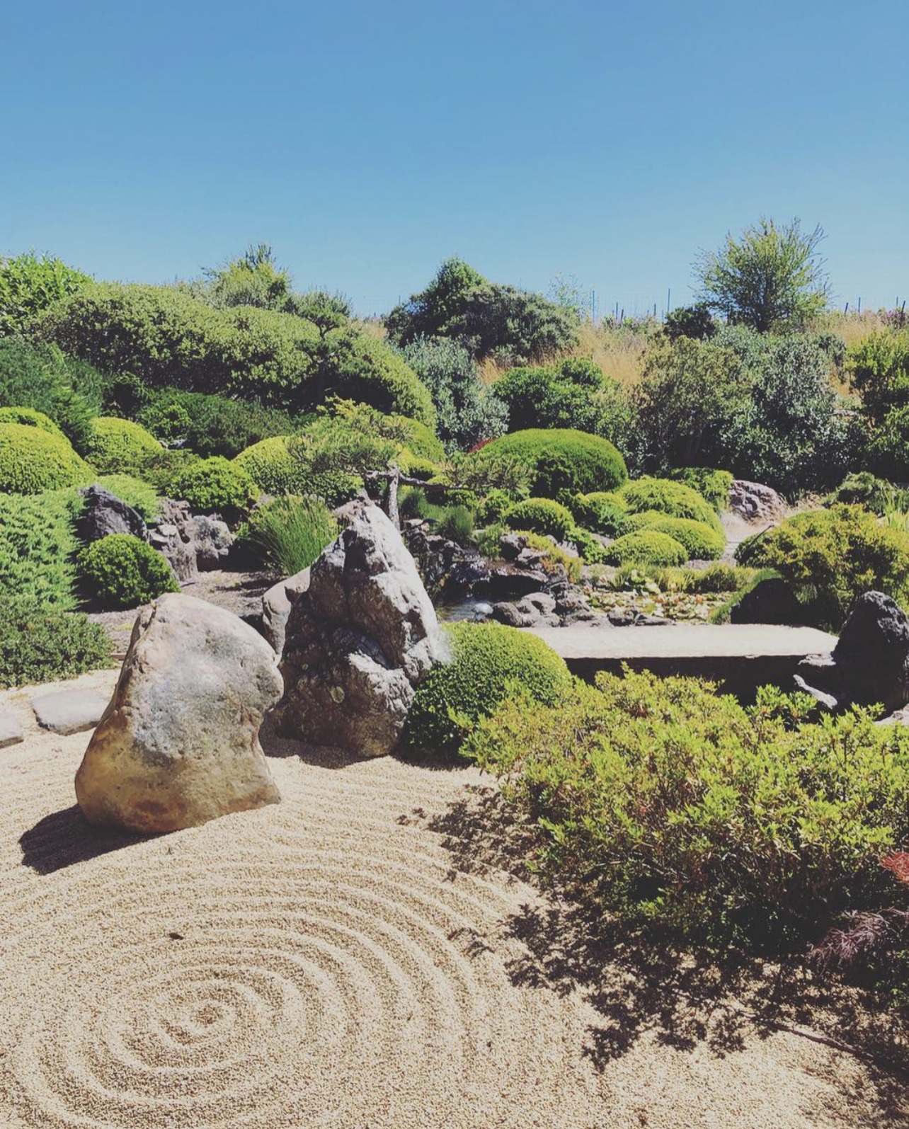 Raked sand and stone in a quiet zen garden — a space of stillness and intention.